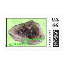 Baby Birds Stamps