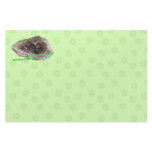 Baby Birds Stationery