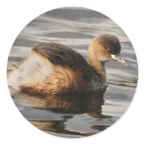 Baby birds stickers