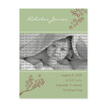 Baby Birth Announcement Sage Green Branch Design postcards