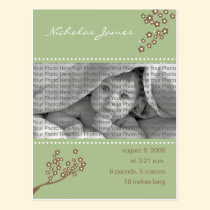 Baby Birth Announcement Sage Green Branch Design postcards