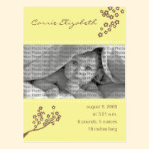 Baby Birth Announcement Yellow Branch Design postcards