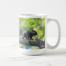 Baby Black Squirrel Coffee Mug