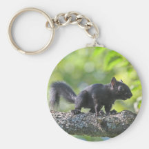 Baby Black Squirrel Key Chains