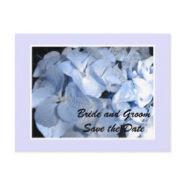 Baby Blue Hydrangea Save the Date Post Card