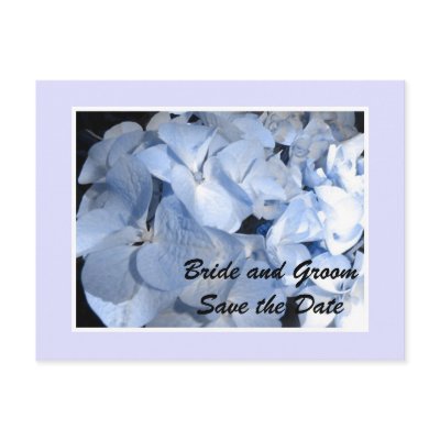 Baby Blue Hydrangea Save the Date Post Card by seashell2