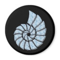 Baby Blue Nautilus Shell magnets