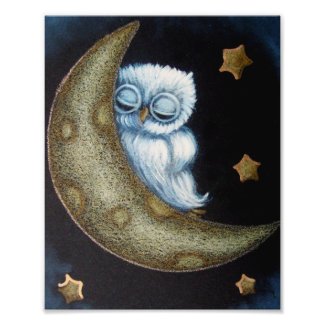 BABY BLUE OWL SLEEPING IN THE MOON 8" X 10" POSTER PHOTO PRINT