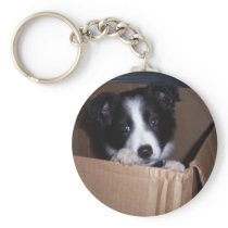 Baby Border Collie Key Chain
