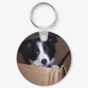 Baby Border Collie keychains
