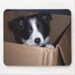Baby Border Collie Mouse Pads
