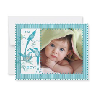 Baby Boy Aqua Vintage Birds Picture Announcement invitation