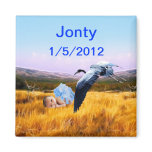 Baby boy birthday fridge magnets