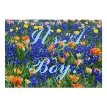 BABY BOY PERSONALIZED ANNOUNCEMENT