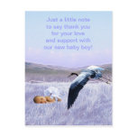 Baby boy post cards