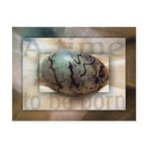 Baby Boy Post Card