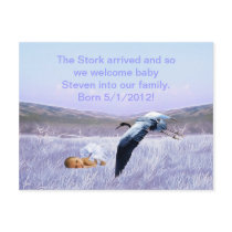 Baby boy postcards