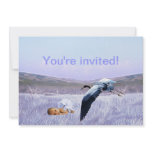 Baby boy shower invitation