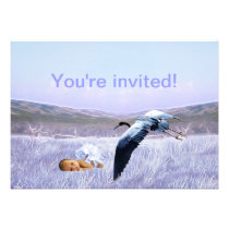 Baby boy shower invitation invitations