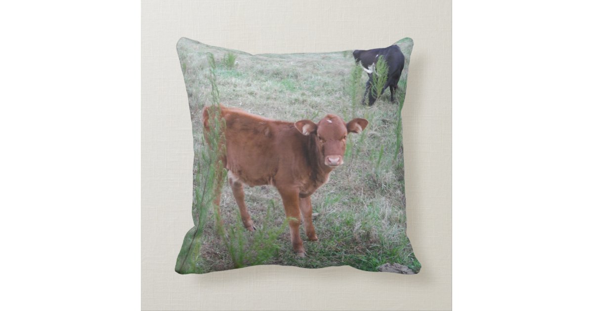 brown cow pillow