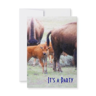 Baby Buffalo - Save the Date Party Invitation by Eyeimages