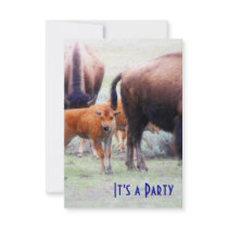 Baby Buffalo - Save the Date Party Invitation