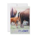 Baby Buffalo - Save the Date Party Invitation