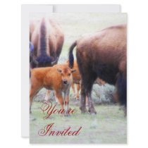 Baby Buffalo - Save the Date Party Invitation
