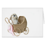 Baby buggy Shih Tzu cards