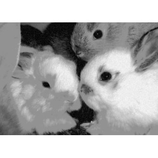 Baby Bunnies - in Charcoal card