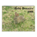Baby Bunny Calendar 2009