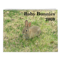 Baby Bunny Calendar 2009 by StormShooter Baby Bunny Calendar 2009