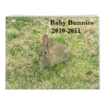 Baby Bunny Calendar 2010-2011