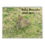 Baby Bunny Calendar 2010-2011