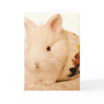 Baby Bunny Card