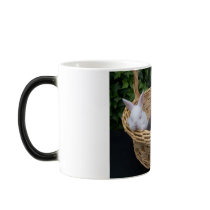 Baby Bunny Coffee Fuzzy mugs by radgirl Baby Bunny Coffee Fuzzy mugs