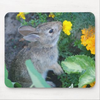 baby bunny mousepad mousepad