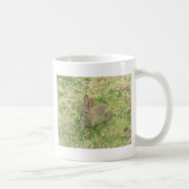 Baby Bunny Munching mugs