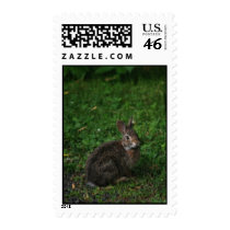 Baby Bunny postage