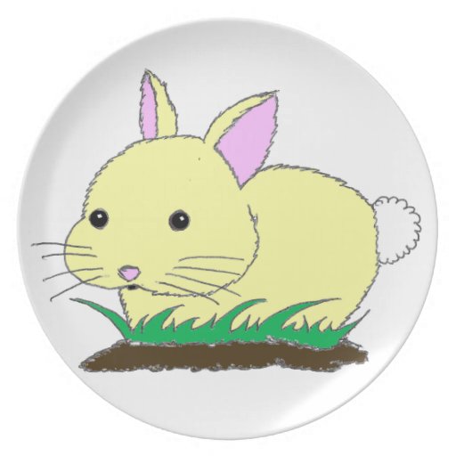 Baby Bunny Rabbit Plate :)