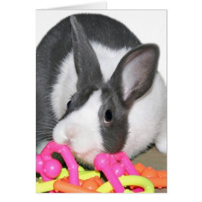 Baby bunny with baby toy card by deemac1