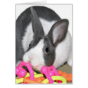 Baby bunny with baby toy cards
