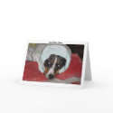 Baby Bunting Get Well Card by Catahoula Baby Bunting Get Well Card