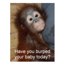 Baby Burp Post Card