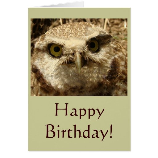 Baby Burrowing Owl Funny Group Birthday Card 