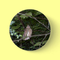Baby Cardinal buttons
