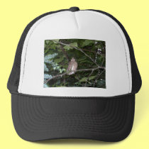 Baby Cardinal hats