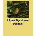 Baby Cardinal, I Love My Home Planet! t-shirts by eelkat Baby Cardinal, I Love My Home Planet! t-shirts