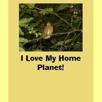 Baby Cardinal, I Love My Home Planet! t-shirts