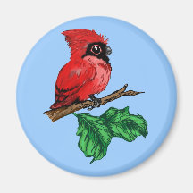 Baby Cardinal Magnet